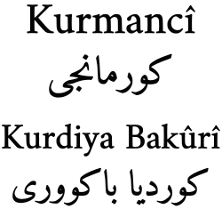 kurmanci öğrenme rehberi - 2025